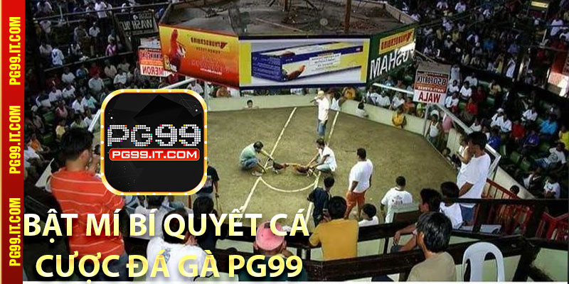 Bật mí bí quyết cá cược đá gà Pg99 hiệu quả