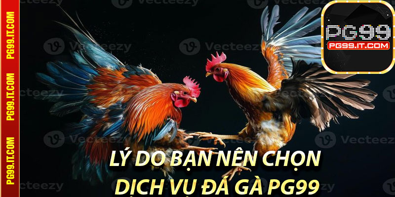 Lý do bạn nên chọn dịch vụ đá gà Pg99
