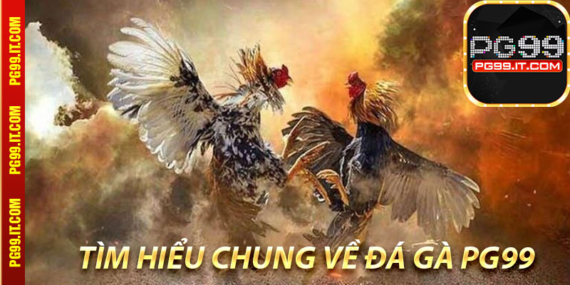 Tìm hiểu chung về đá gà Pg99