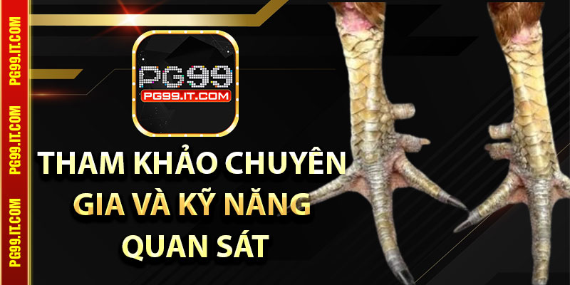 Tham khảo chuyên gia và phát huy kỹ năng quan sát