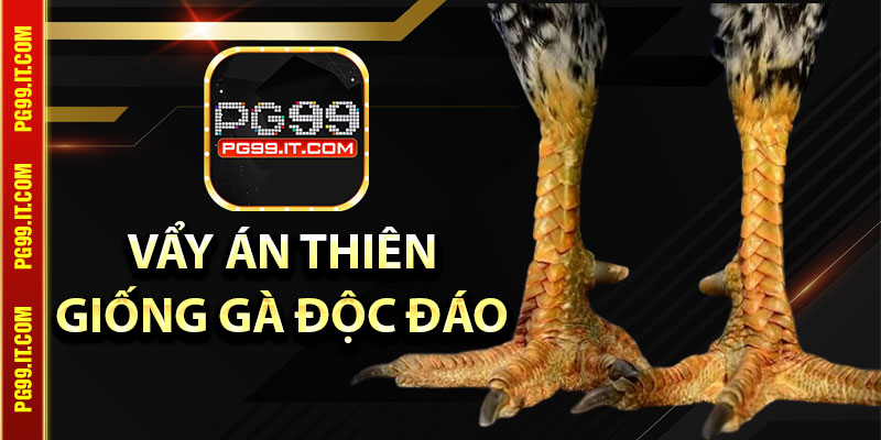 Vẩy Án Thiên – Tìm Hiểu Giống Gà Độc Đáo Vi Diệu Này