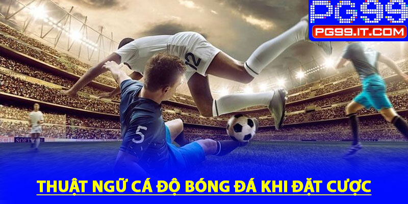 Áp dụng thuật ngữ cá độ bóng đá khi đặt cược