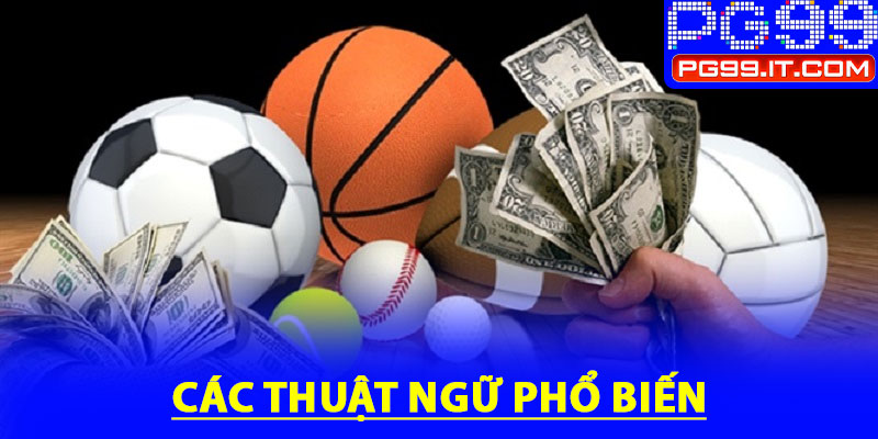 Các thuật ngữ phổ biến trong cá độ bóng đá