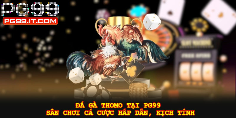 Đá gà thomo tại PG99 – Sân chơi cá cược hấp dẫn, kịch tính
