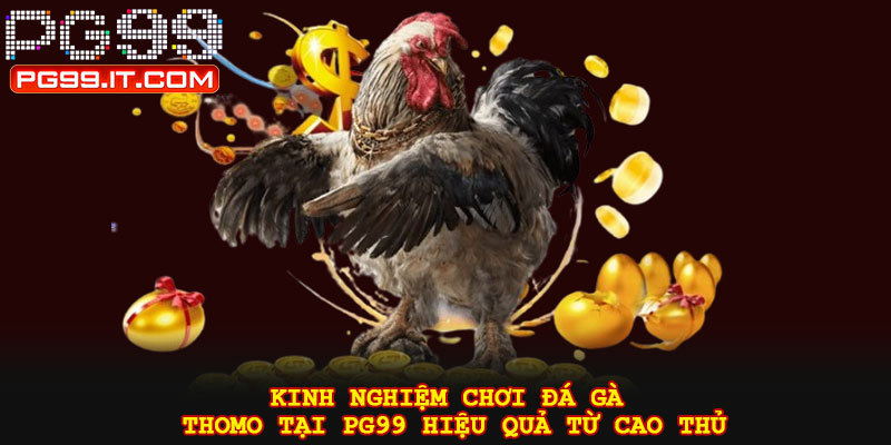 Kinh nghiệm chơi đá gà thomo tại PG99 hiệu quả từ cao thủ