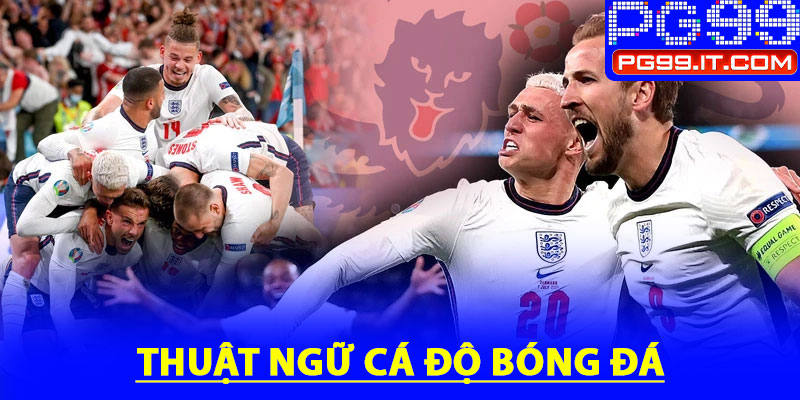 Thuật ngữ cá độ bóng đá - Hướng dẫn chi tiết cho người chơi