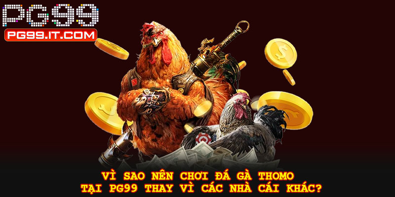 Vì sao nên chơi đá gà thomo tại PG99 thay vì các nhà cái khác?